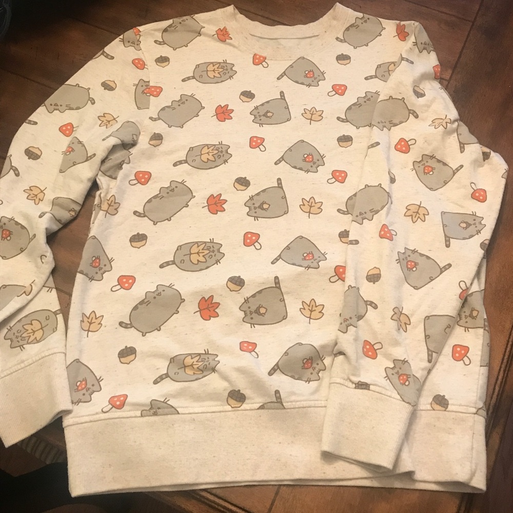 Pusheen Autumnal Sweatshirt 🍂